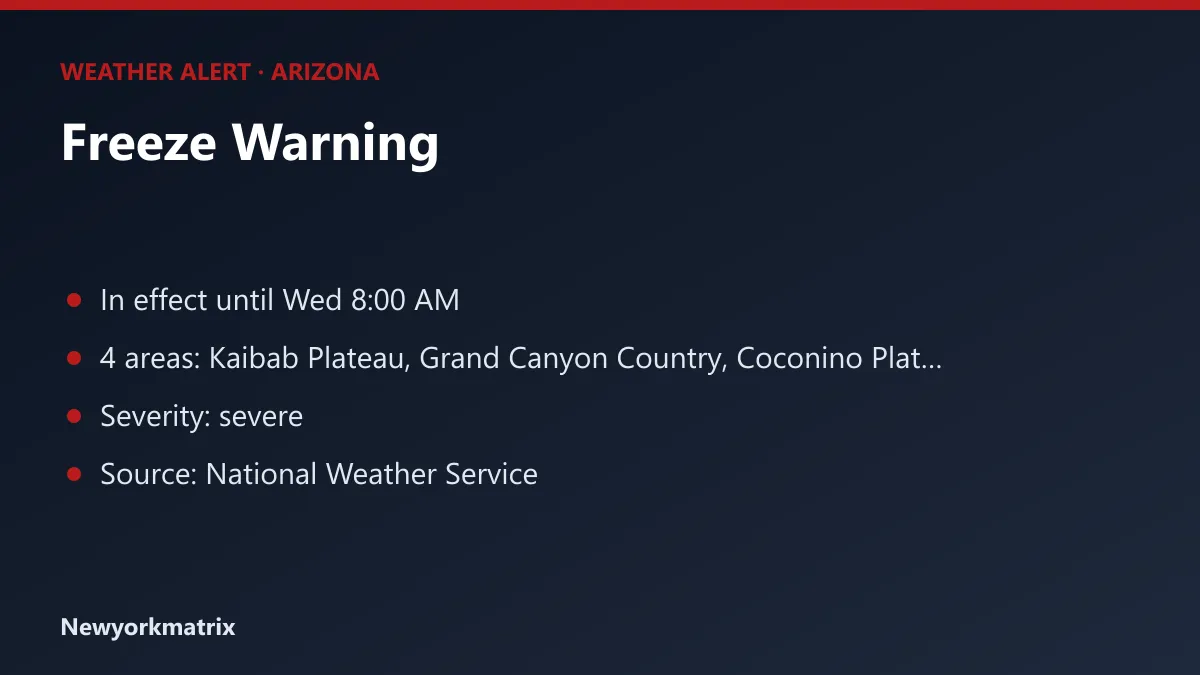 Graphic: Freeze Warning for Arizona