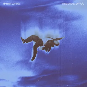 Cover art for This Dream of You by Martin Garrix